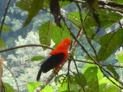 Peru August 2009 035