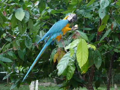 Peru August 2009 072