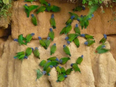 Peru August 2009 082