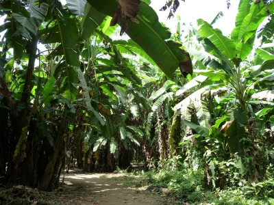 Peru August 2009 089