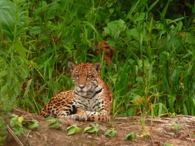 Peru August 2009 125