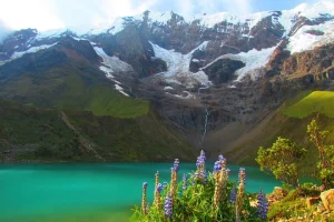 salkantay peru goyo9_n