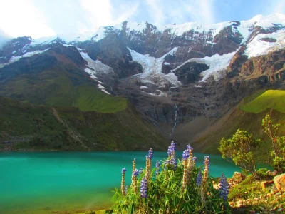 salkantay peru goyo9_n